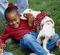 La muerte de la mascota