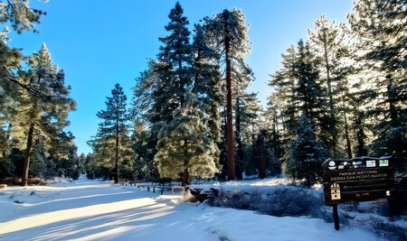 Este es el destino al norte de México donde es posible ver hermosos paisajes montañosos con nieve