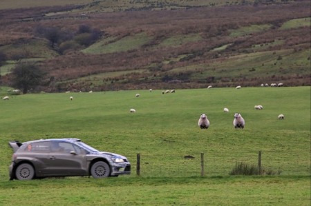 WRC 2014