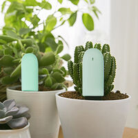 Convierte tu jardín en inteligente: guía de compra de domótica y otros dispositivos para cuidar de tus plantas