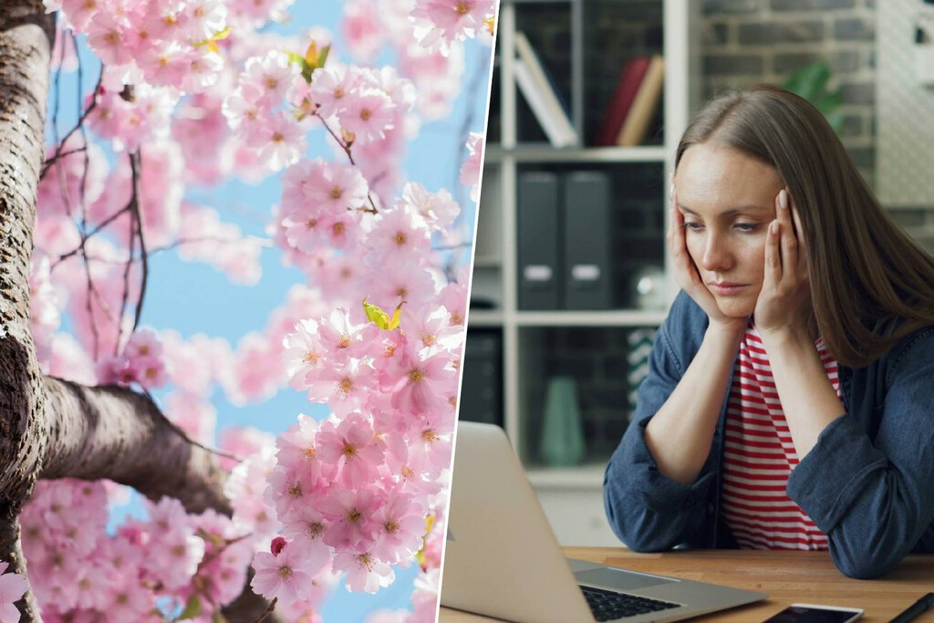 Llevamos toda la vida culpando a la primavera de nuestro cansancio. La ciencia acaba de demostrar que hemos vivido engañados
