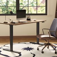 FlexiSpot tiene el escritorio elevable más cómodo para estudiantes y teletrabajo: elevable y fácil de combinar