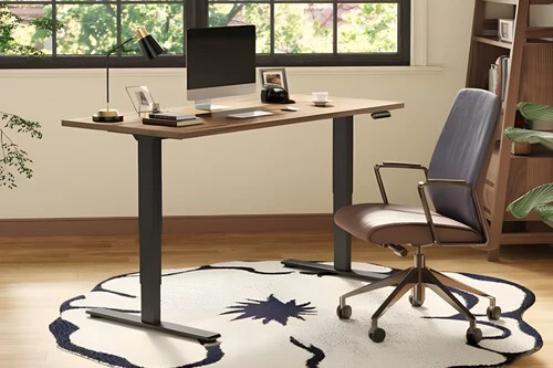 Escritorio elevable de FlexiSpot