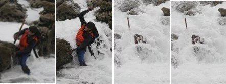 Percebeiros y Percebes, son tan caros?