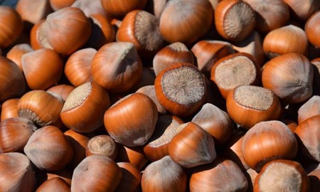 Las avellanas mejoran los niveles de micronutrientes