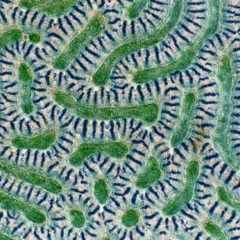 Foto 3 de 10 de la galería arte-en-la-naturaleza en Xataka Foto