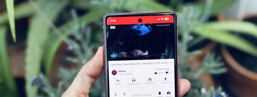 YouTube tiene tantos anuncios que es un campo de minas para mi madre. Le he instalado una alternativa más limpia y sin publicidad