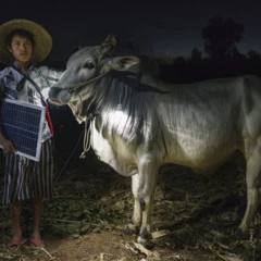 Foto 7 de 12 de la galería sony-world-photography-awards-2015 en Xataka Foto