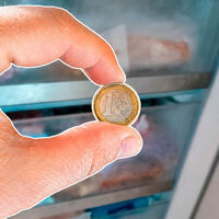 Hay quien pone una moneda en el congelador para saber si se estropea en vacaciones. Yo tengo algo mejor: mirarlo con el móvil 