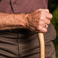 La reforma de las pensiones va por mal camino: pan para hoy y hambre para mañana