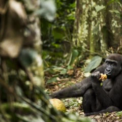 Foto 2 de 6 de la galería de-15-a-17-anos en Xataka Foto