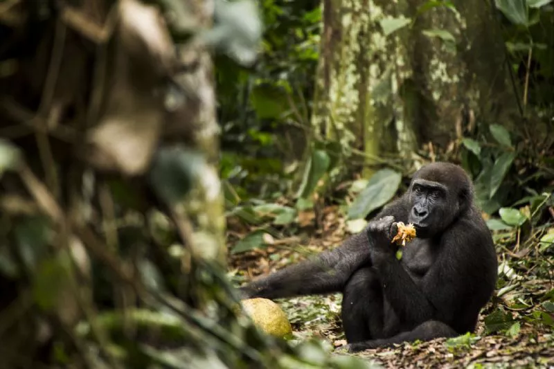 Foto de De 15 a 17 años (2/6)
