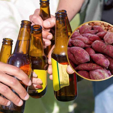 Del plátano al camote morado: investigadores de la UNAM crean cervezas artesanales y buscan hacerlas más nutritivas
