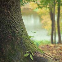 Un fin de año cargado de incertidumbre; así se presenta el otoño para los autónomos