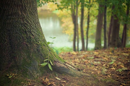 Un fin de año cargado de incertidumbre; así se presenta el otoño para los autónomos