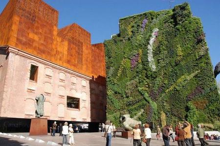 Cubiertas Vegetales (y III)