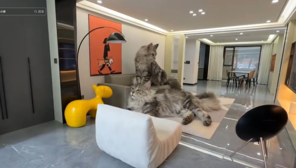 Construye una casa de lujo para sus gatos completamente equipada. Seguramente es mejor que la mayoría de casas en que has estado