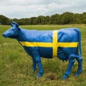 Alejandro Nieto González