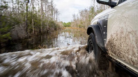 Ford Bronco Everglades 7