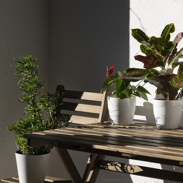 Acaba de llegar a Lidl la celosía para plantas trepadoras, ideal para tapar las paredes feas de tu terraza: cuesta menos de 7 euros 