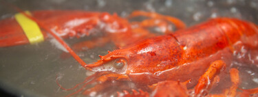 Reino Unido prohibirá por ley cocer vivas langostas, cangrejos, gambas y otros mariscos para reducir el sufrimiento animal