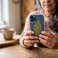 Por que tantas pessoas estão colocando uma folha de louro atrás da capa do celular? Entenda o significado do ritual que virou febre para atrair dinheiro e proteção