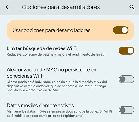 データ開発者向けオプション