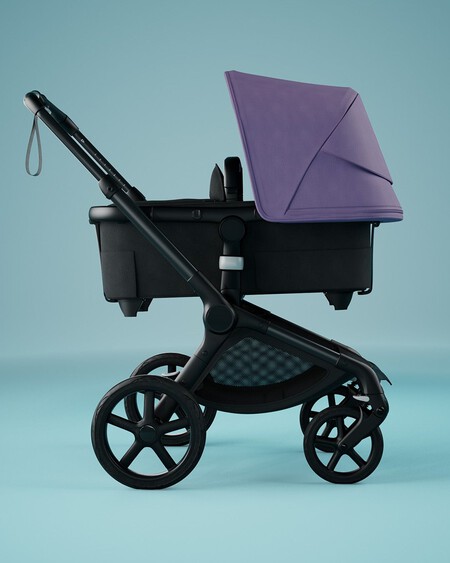 Bugaboo-fox5