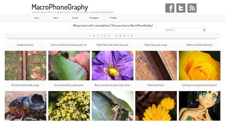 MacroPhoneGraphy, fotografía macro con móvil