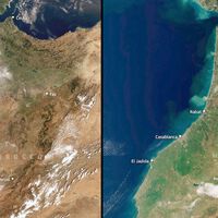 Chuvas intensas mudam a paisagem do Marrocos: há uma década o país não ficava tão verde 