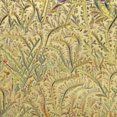 Foto 4 de 10 de la galería arte-en-la-naturaleza en Xataka Foto