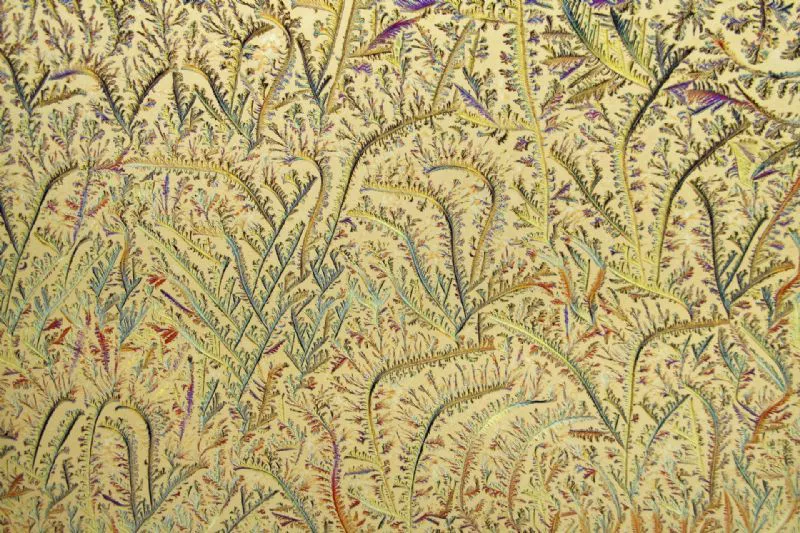 Foto de Arte en la naturaleza (4/10)