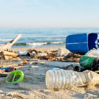 Se você acha que o seu lixo desaparece com o tempo, a ciência tem um alerta: o achado inesperado de 1960 que cruzou o oceano para provar o contrário 