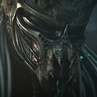 Malas noticias para los fans de 'Predator'. Su última película  tiene una indignante diferencia con el resto de la saga