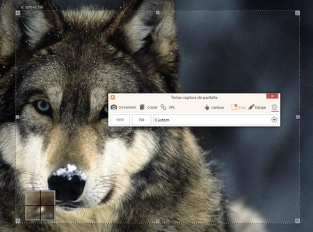 Este programa te permite hacer capturas de pantalla, grabar tu escritorio y subir tus vídeos a YouTube