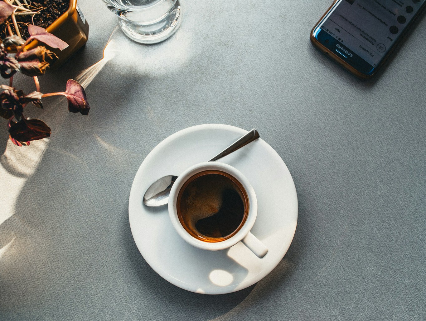Cafetera de goteo Taurus de 12 tazas con jarra de vidrio y base calefactora