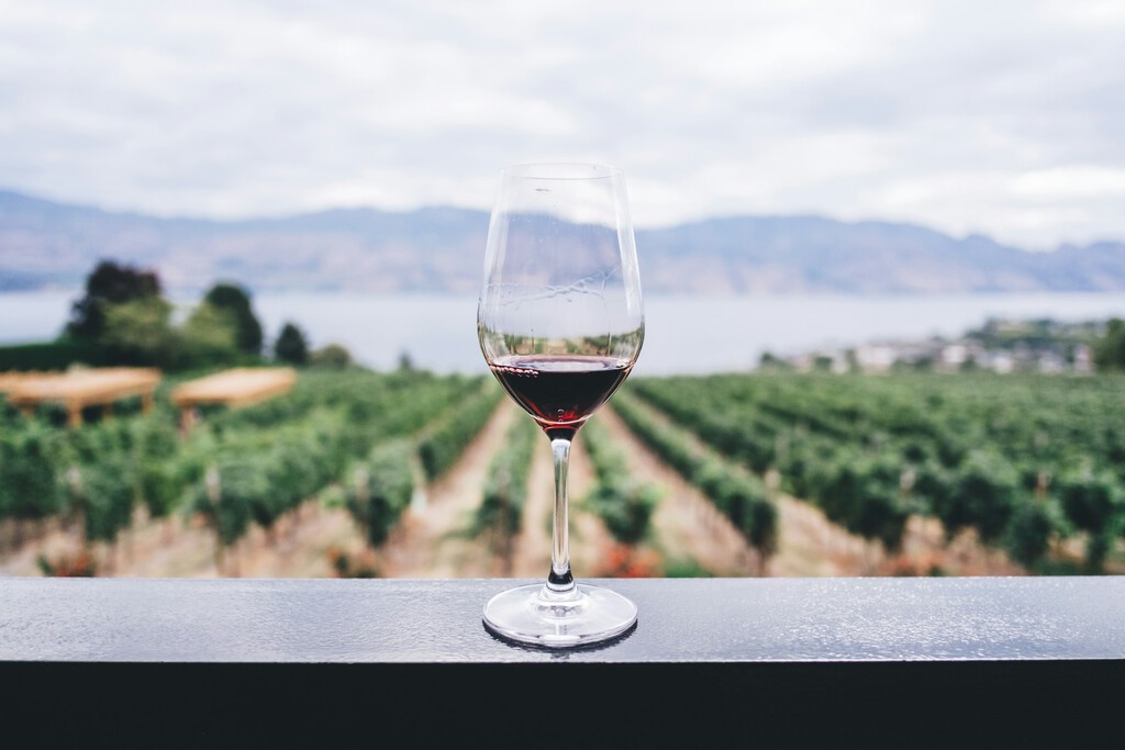 La garnacha aragonesa que hace uno de los mejores enólogos de España en su proyecto familiar: 92+ puntos Parker por menos de 10 euros