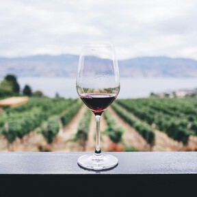 La garnacha aragonesa que hace uno de los mejores enólogos de España en su proyecto familiar: 92+ puntos Parker por menos de 10 euros 