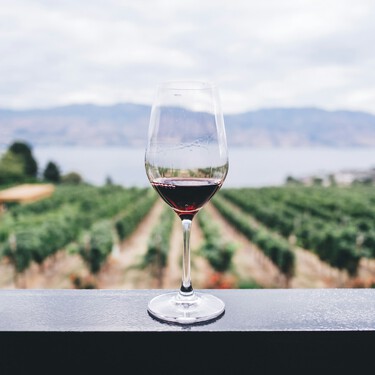 La garnacha aragonesa que hace uno de los mejores enólogos de España en su proyecto familiar: 92+ puntos Parker por menos de 10 euros 