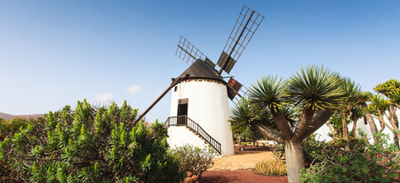 Molino En El Museo Del Queso Majorero