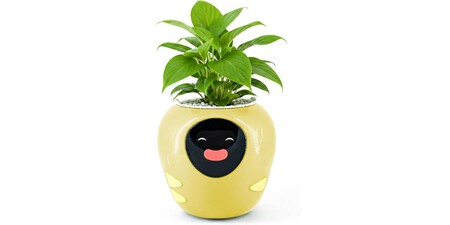 Maceta Inteligente Plantbot