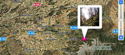 Cámaras con GPS integrado para 2008