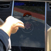 ¿Para qué quieres un Tesla en 2016? Exacto: Para cazar un Rattata