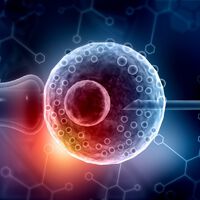 Bebês sob encomenda? Startups americanas vendem testes genéticos para escolher embriões por aparência, inteligência e até personalidade, reacendendo debate sobre eugenia 