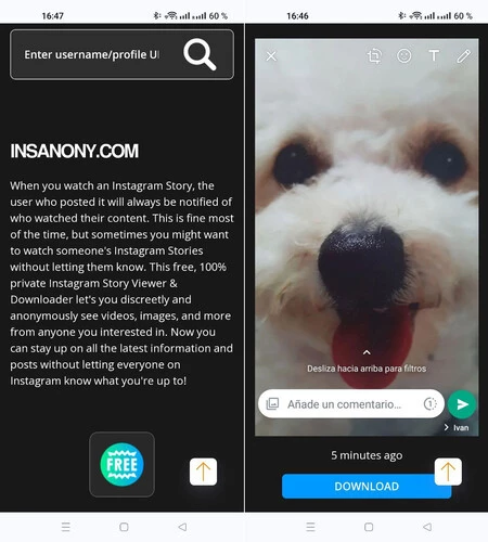 Insanony のような Web サイトでは、アカウントにリンクされていなくても Instagram ストーリーを表示できますが、公開ストーリーでのみ機能します。