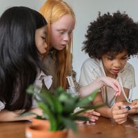 Aprendizaje por descubrimiento en los niños: qué es y cómo fomentarlo