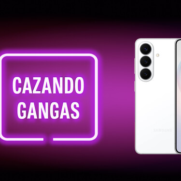 Cazando Gangas
