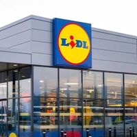 Ya en la web de Lidl y desde el viernes en tiendas: las luces solares automáticas ideales para balcones o terrazas 