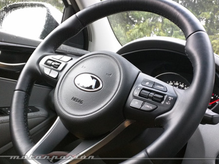 Kia Sorento 16