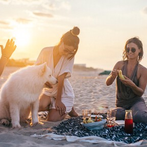 Cinco accesorios imprescindibles para que comer en la playa sea un placer que ahora están rebajados